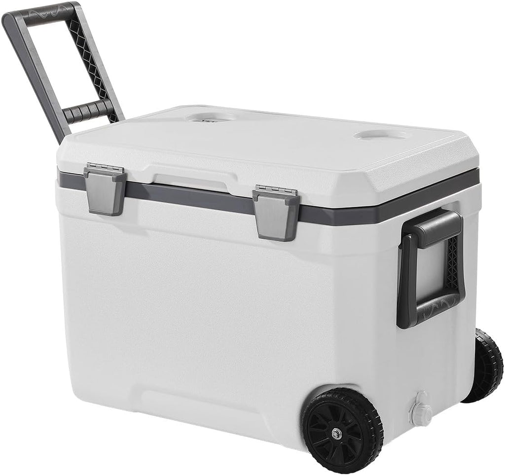 immersion cooler