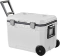 immersion cooler